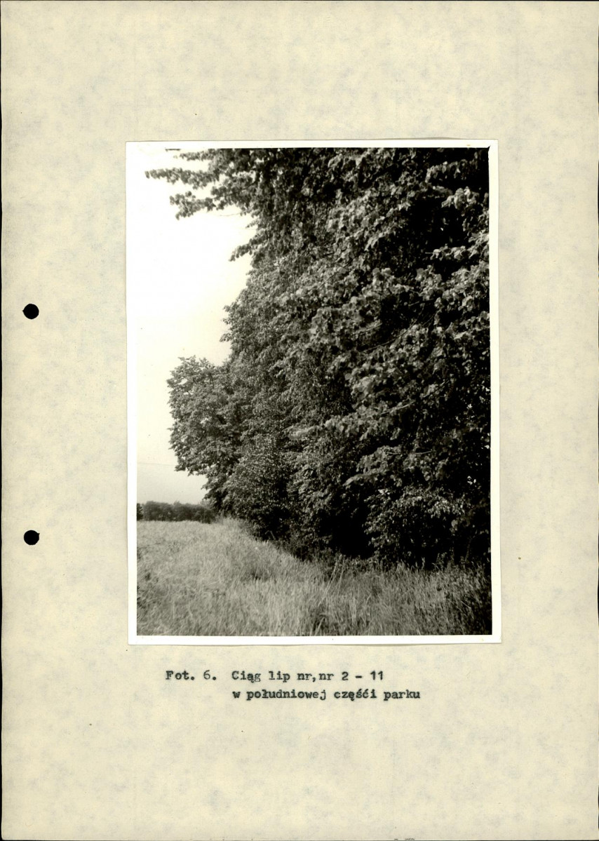 Ewidencja parkowa, skan nr 29