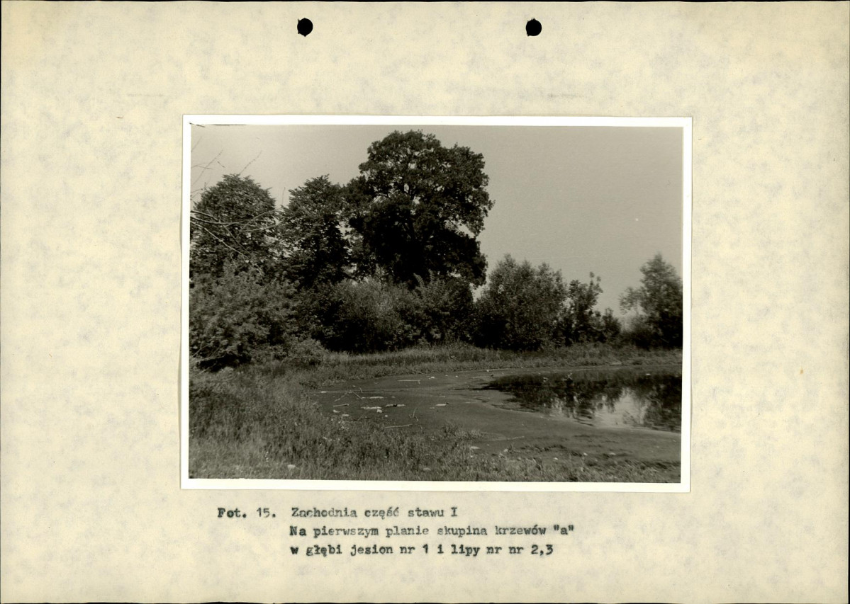 Ewidencja parkowa, skan nr 38
