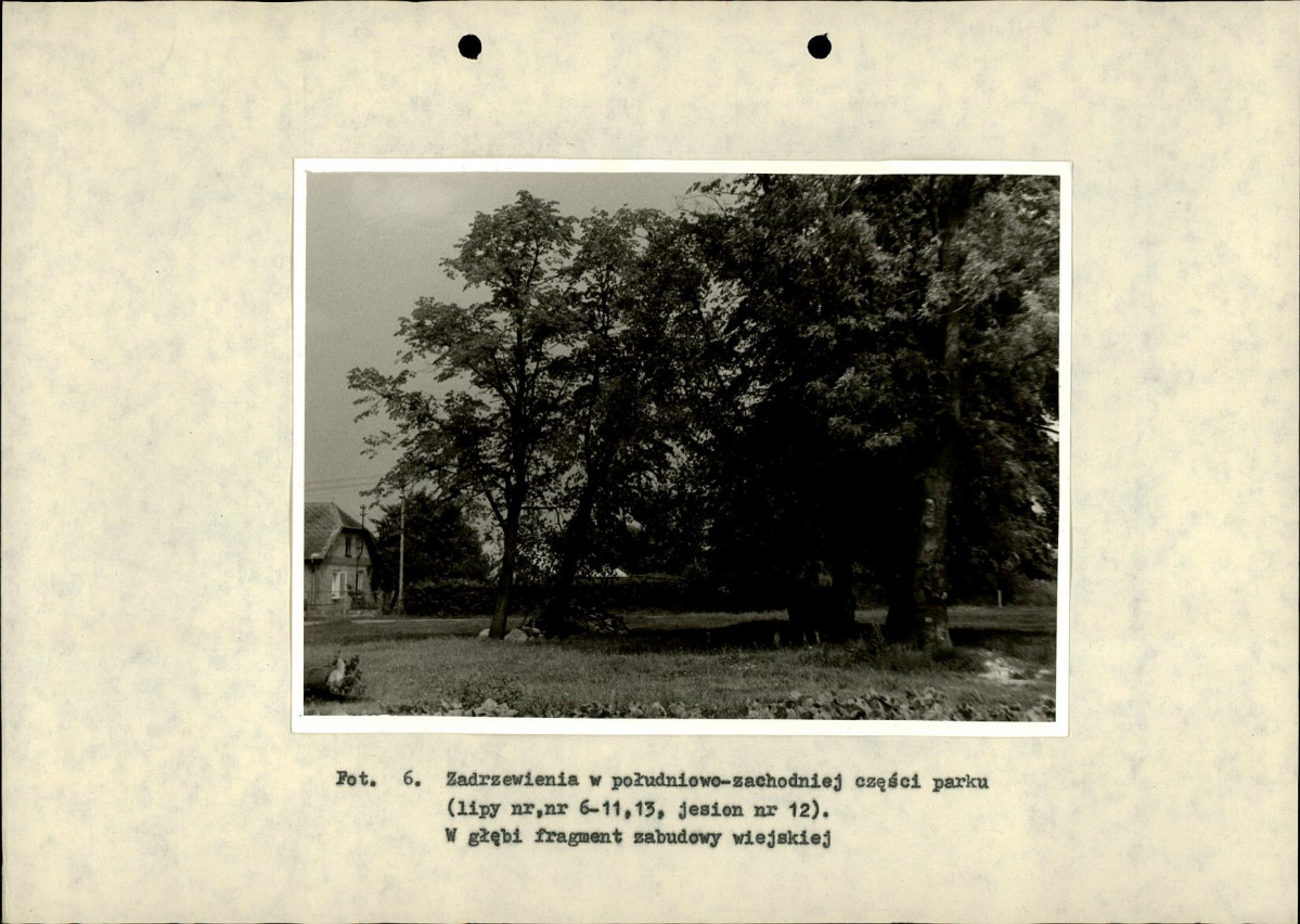 Ewidencja parkowa, skan nr 29