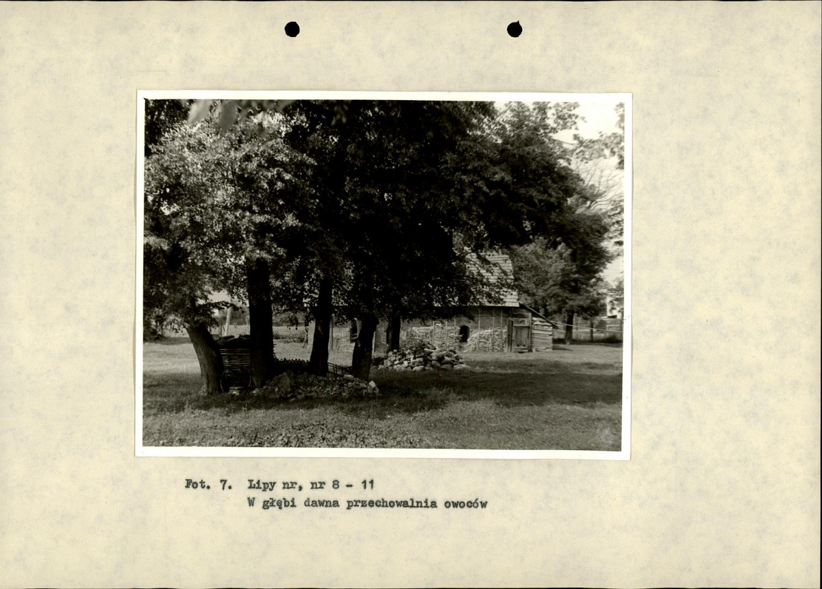 Ewidencja parkowa, skan nr 30