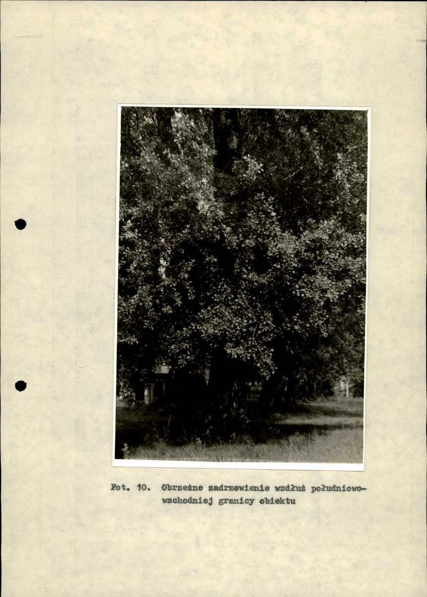 Ewidencja parkowa, skan nr 33