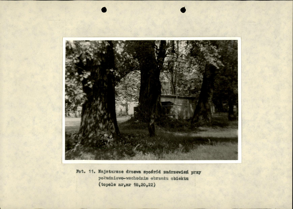Ewidencja parkowa, skan nr 34