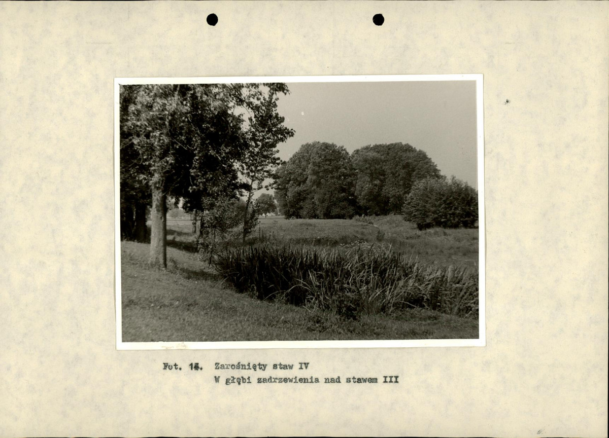 Ewidencja parkowa, skan nr 37