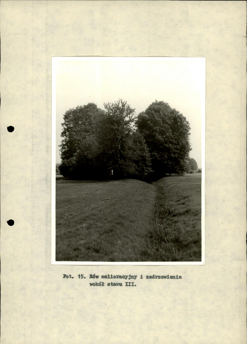 Ewidencja parkowa, skan nr 38