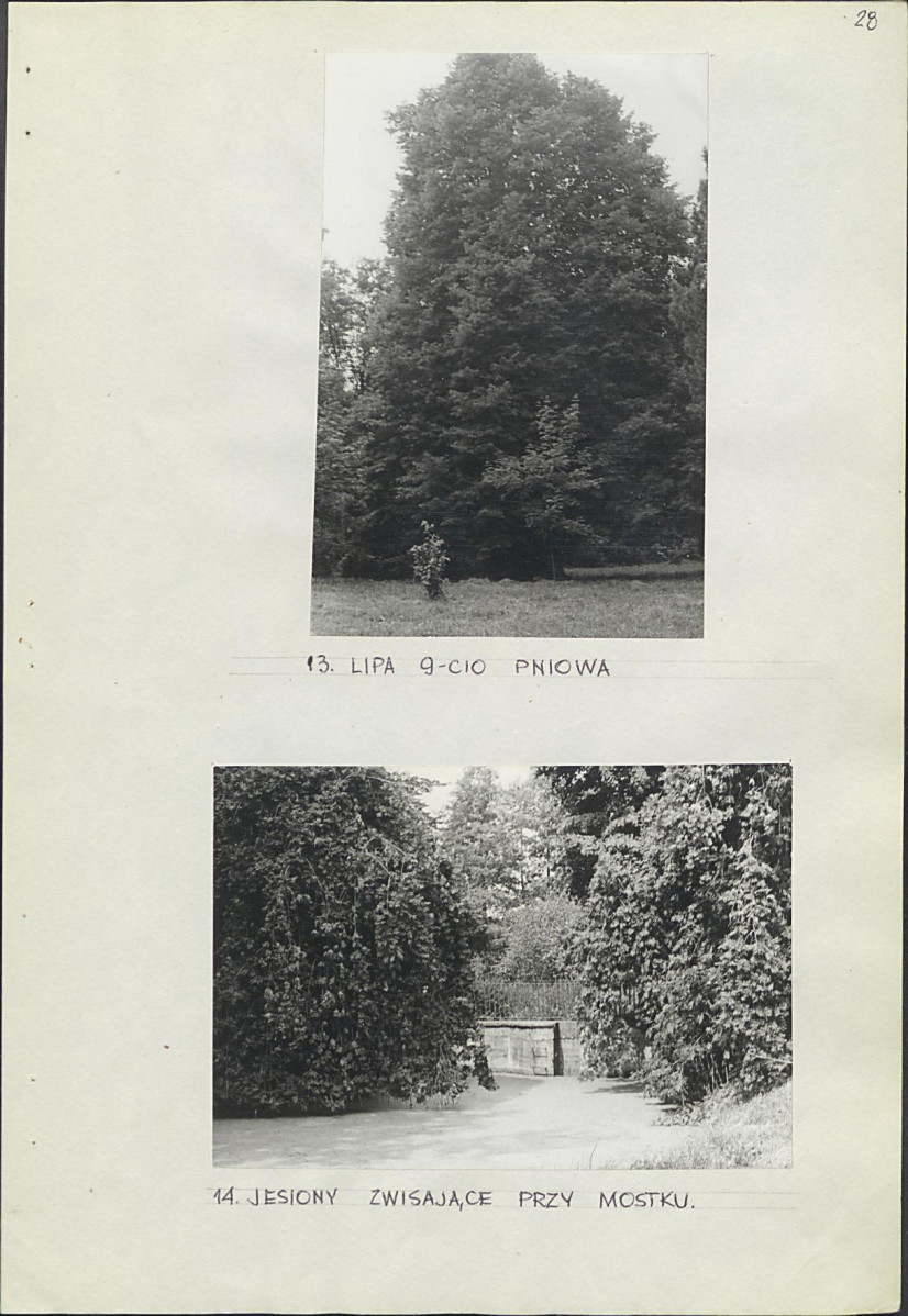 EP - Ewidencja parkowa, skan nr 34