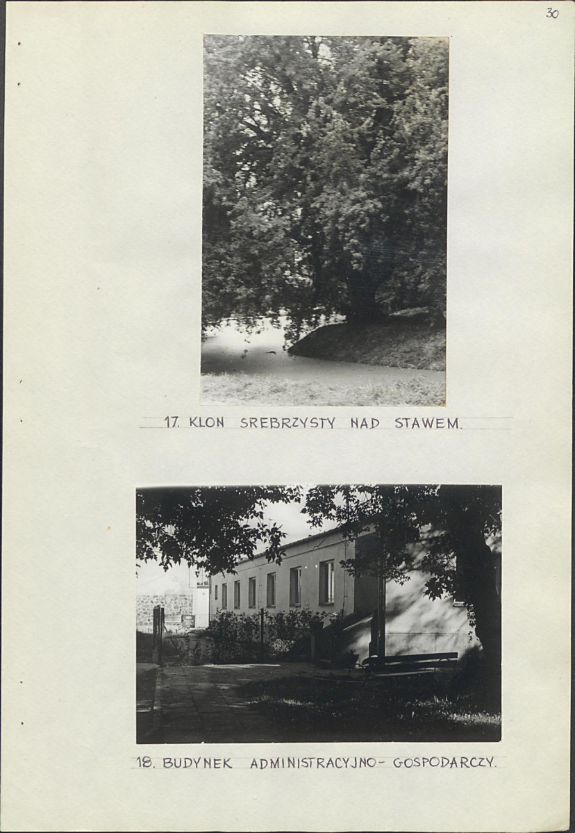 EP - Ewidencja parkowa, skan nr 36