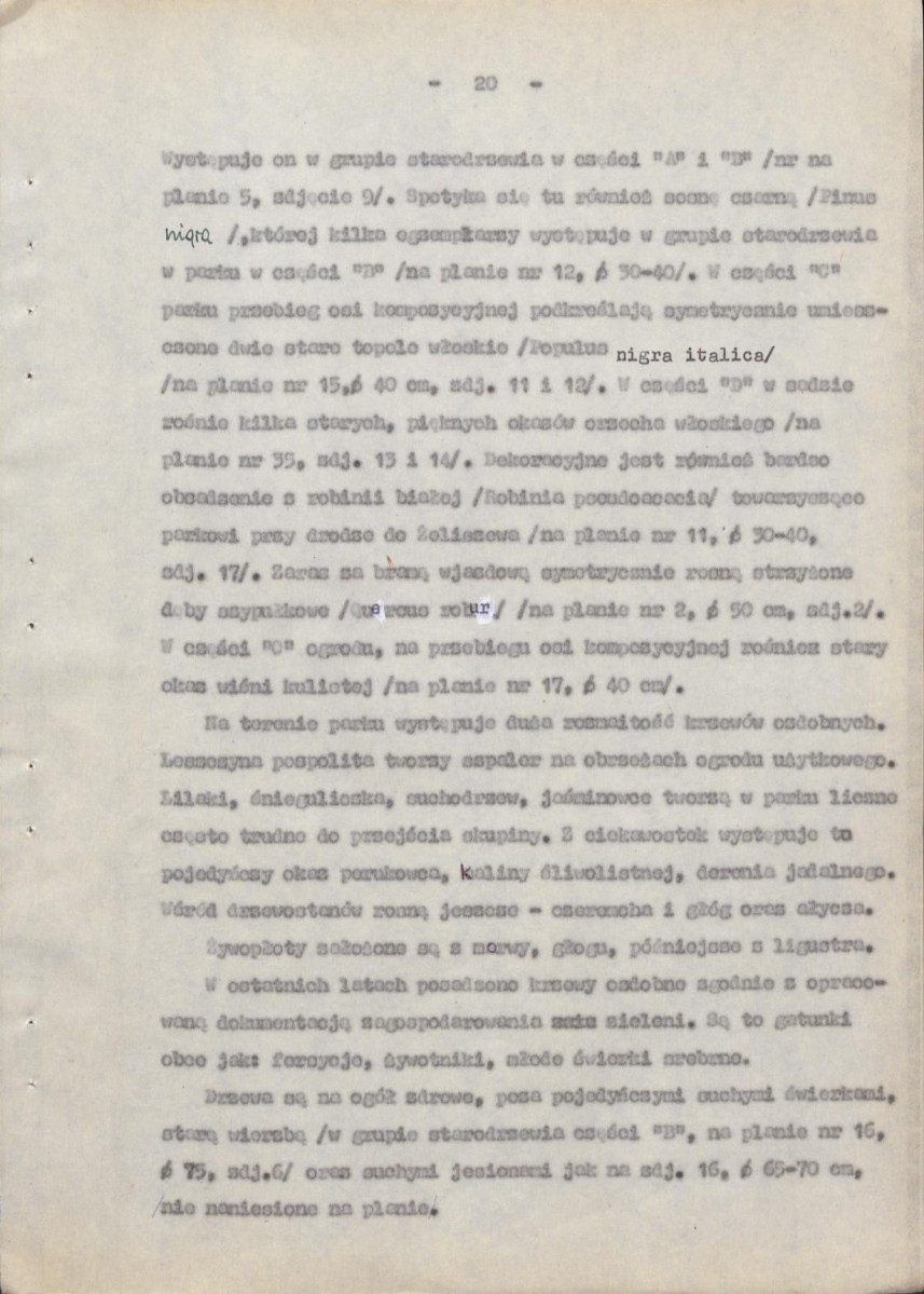 Ewidencja parkowa, skan nr 24