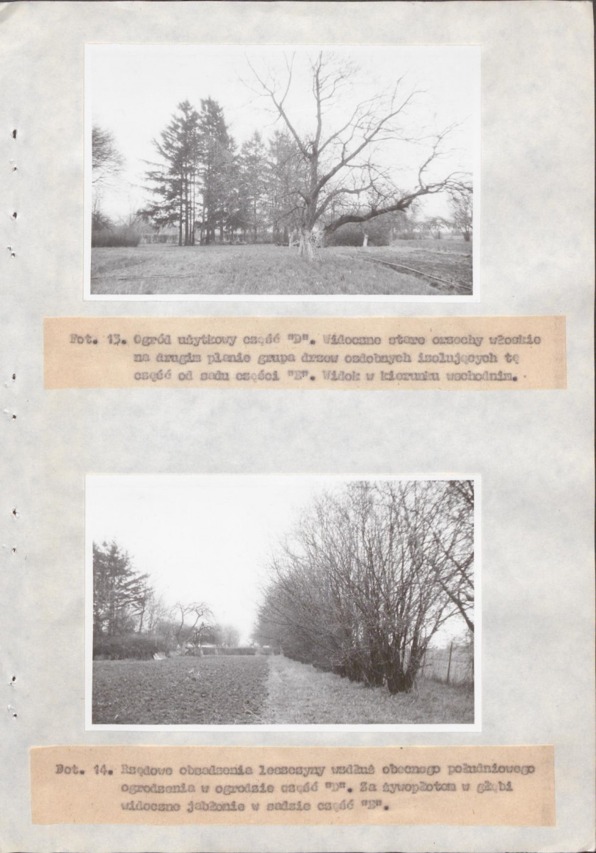 Ewidencja parkowa, skan nr 41