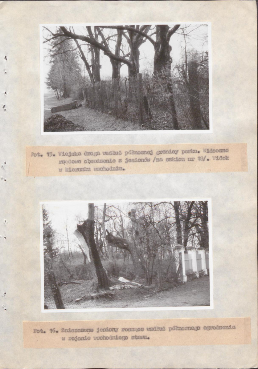 Ewidencja parkowa, skan nr 42