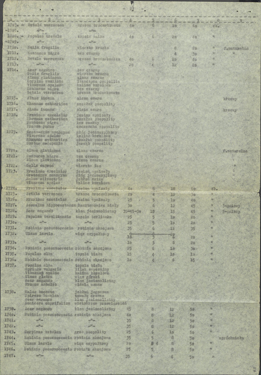 EP - Ewidencja parkowa, skan nr 63