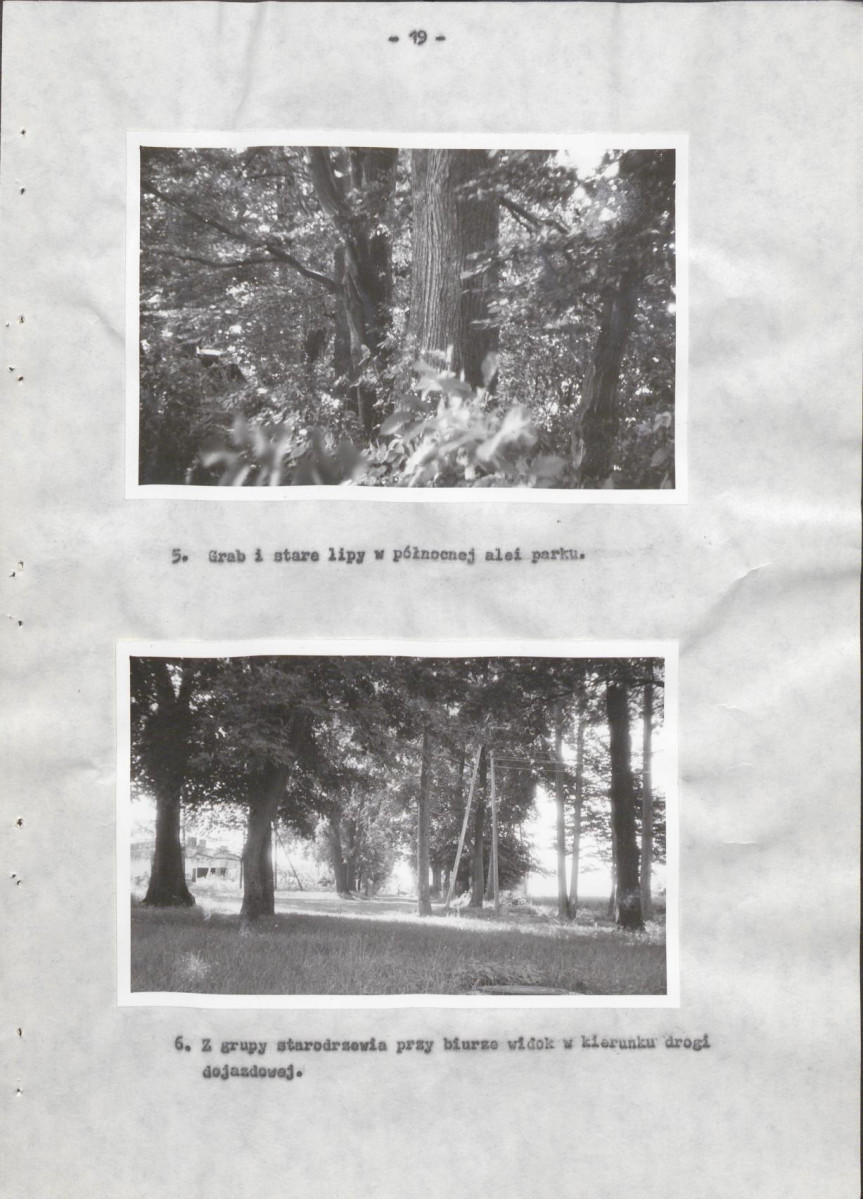 Ewidencja parkowa, skan nr 23