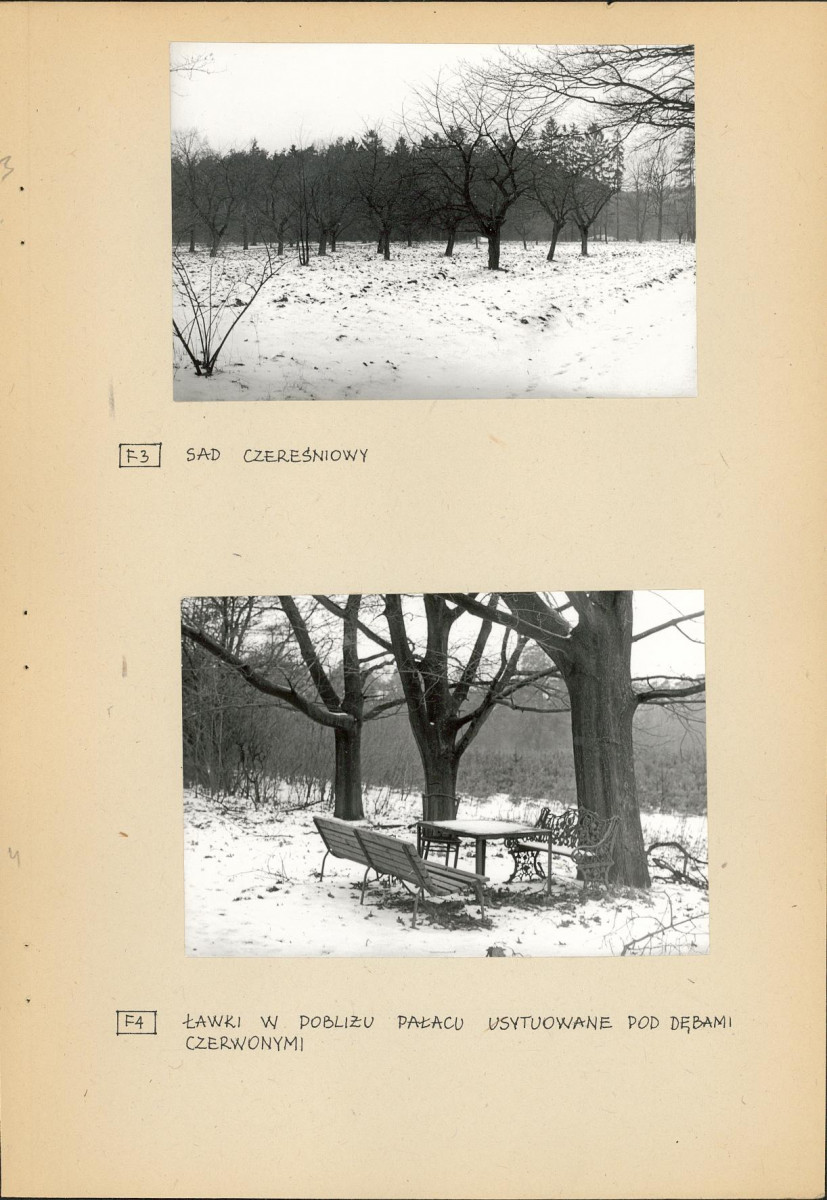 EP - Ewidencja parkowa, skan nr 22