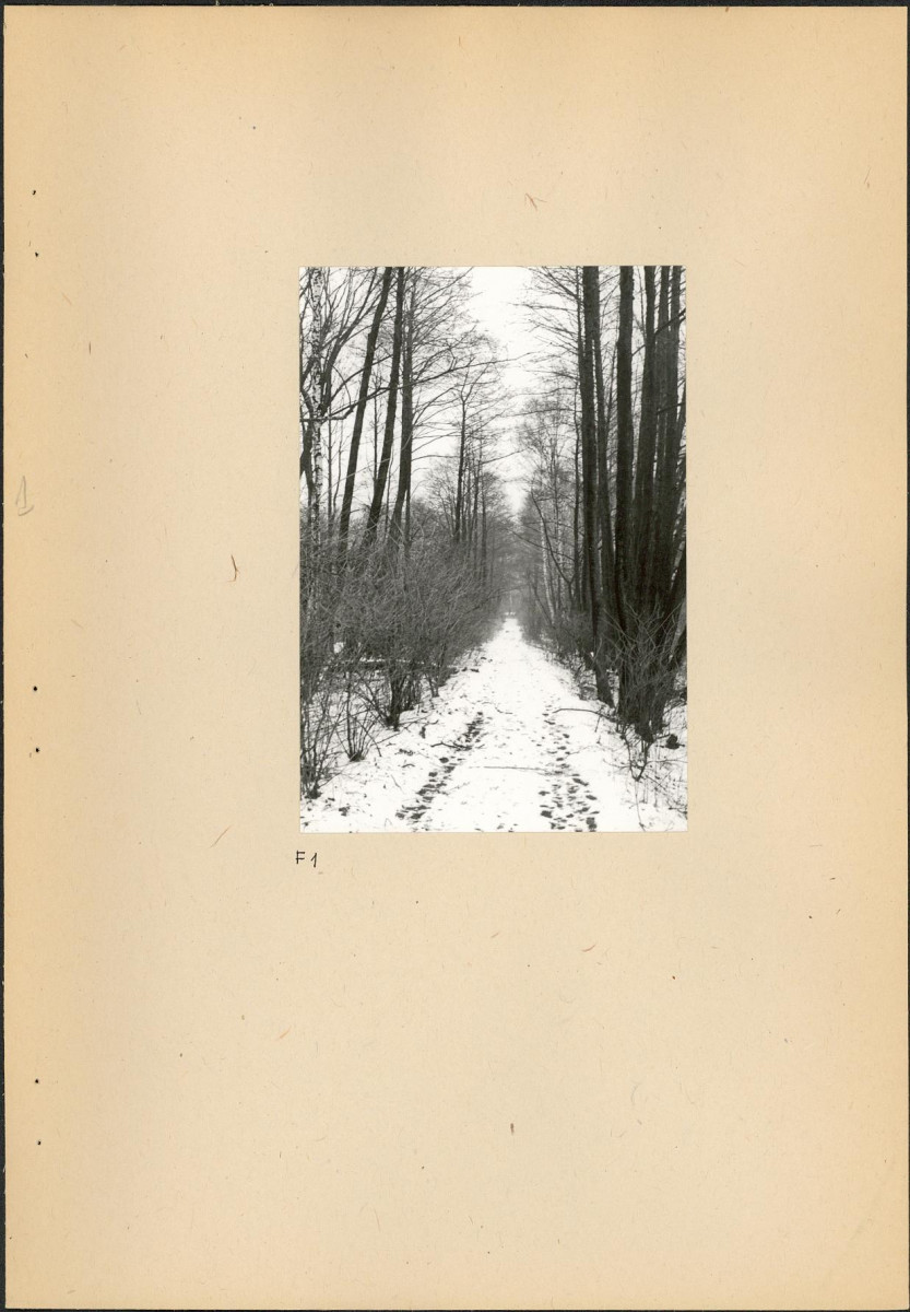 EP - Ewidencja parkowa, skan nr 45