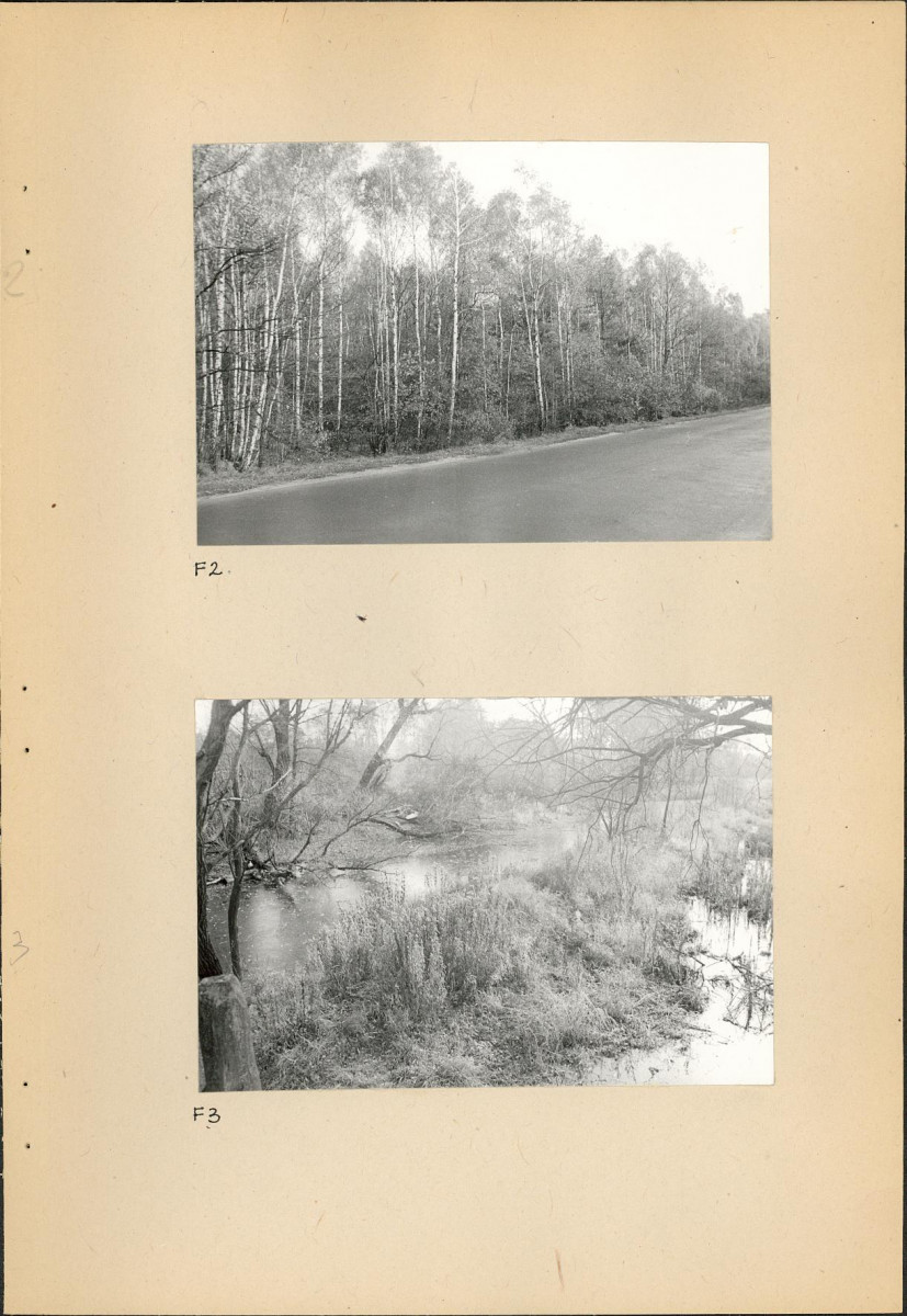 EP - Ewidencja parkowa, skan nr 46