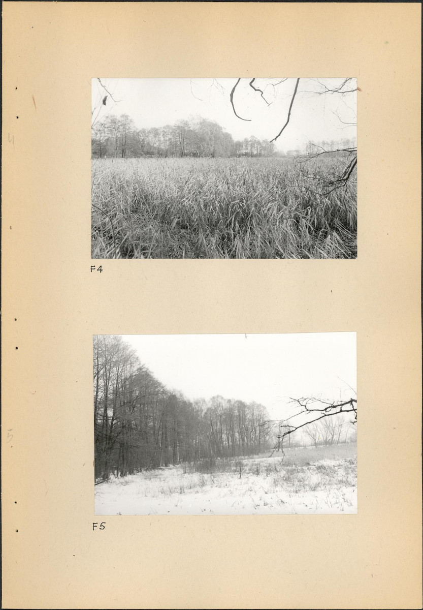 EP - Ewidencja parkowa, skan nr 47