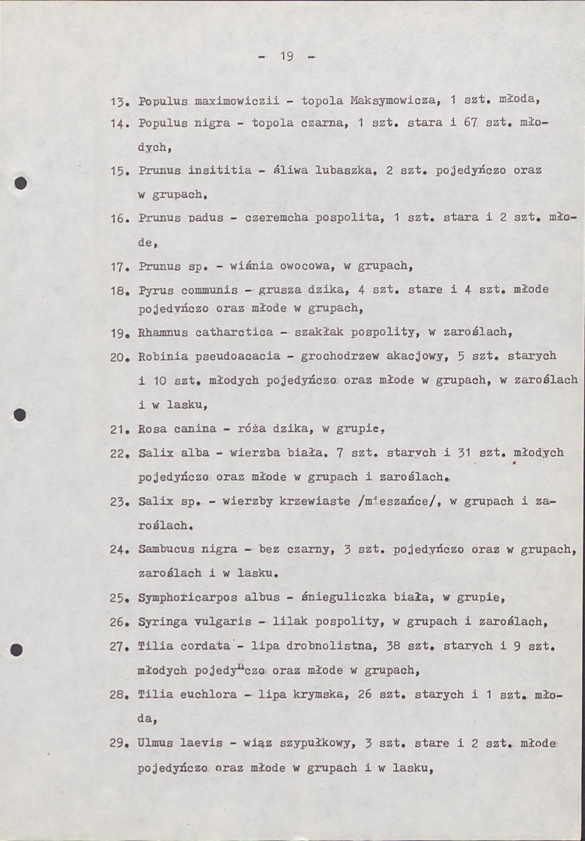 Ewidencja parkowa, skan nr 28