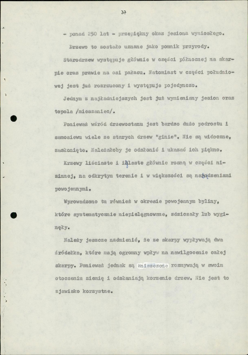 Ewidencja parkowa, skan nr 45