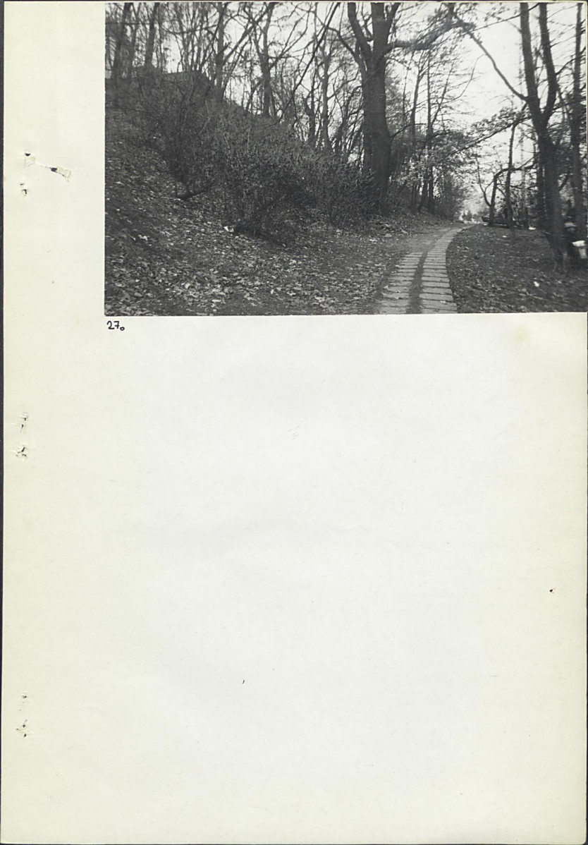 Ewidencja parkowa, skan nr 19