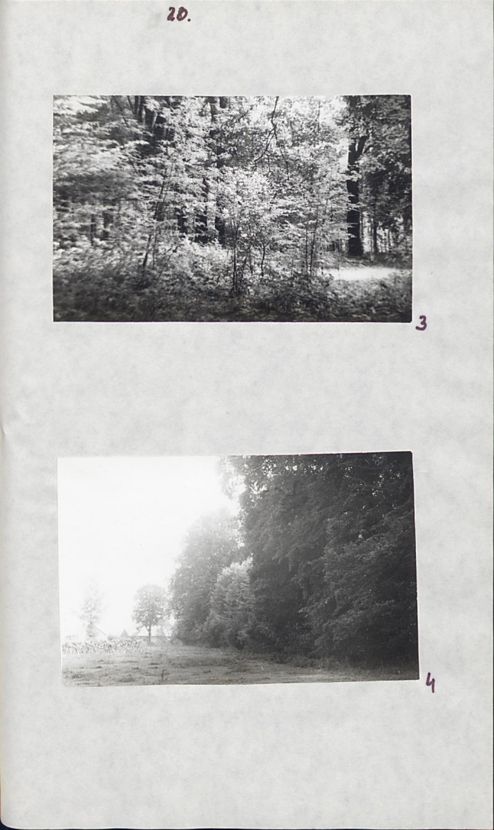 EP - Ewidencja parkowa, skan nr 26