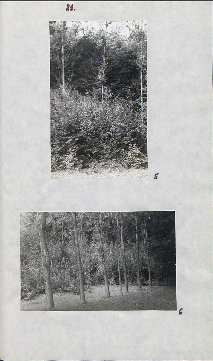 EP - Ewidencja parkowa, skan nr 27