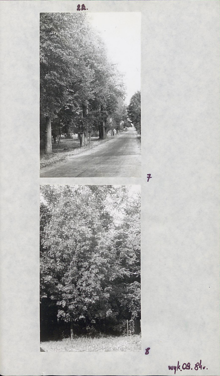 EP - Ewidencja parkowa, skan nr 28