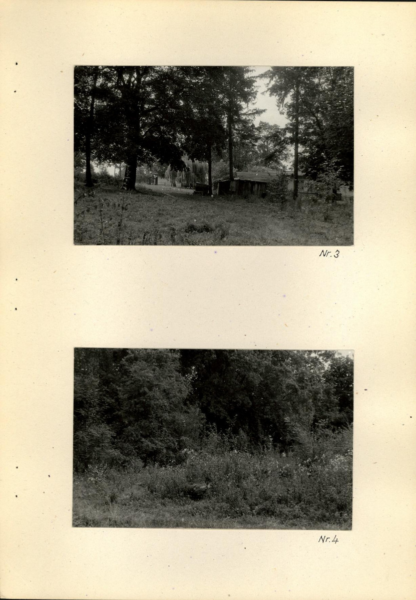 EP - Ewidencja parkowa, skan nr 19