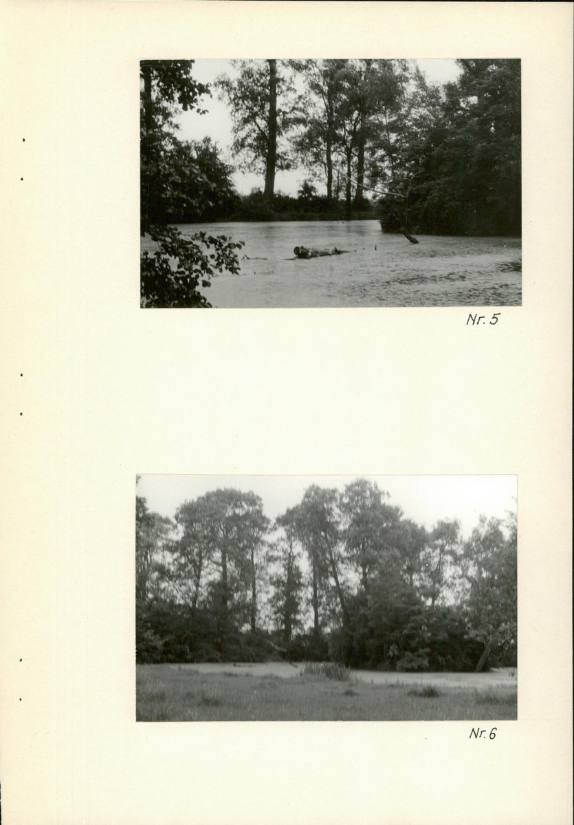 Ewidencja parkowa, skan nr 22