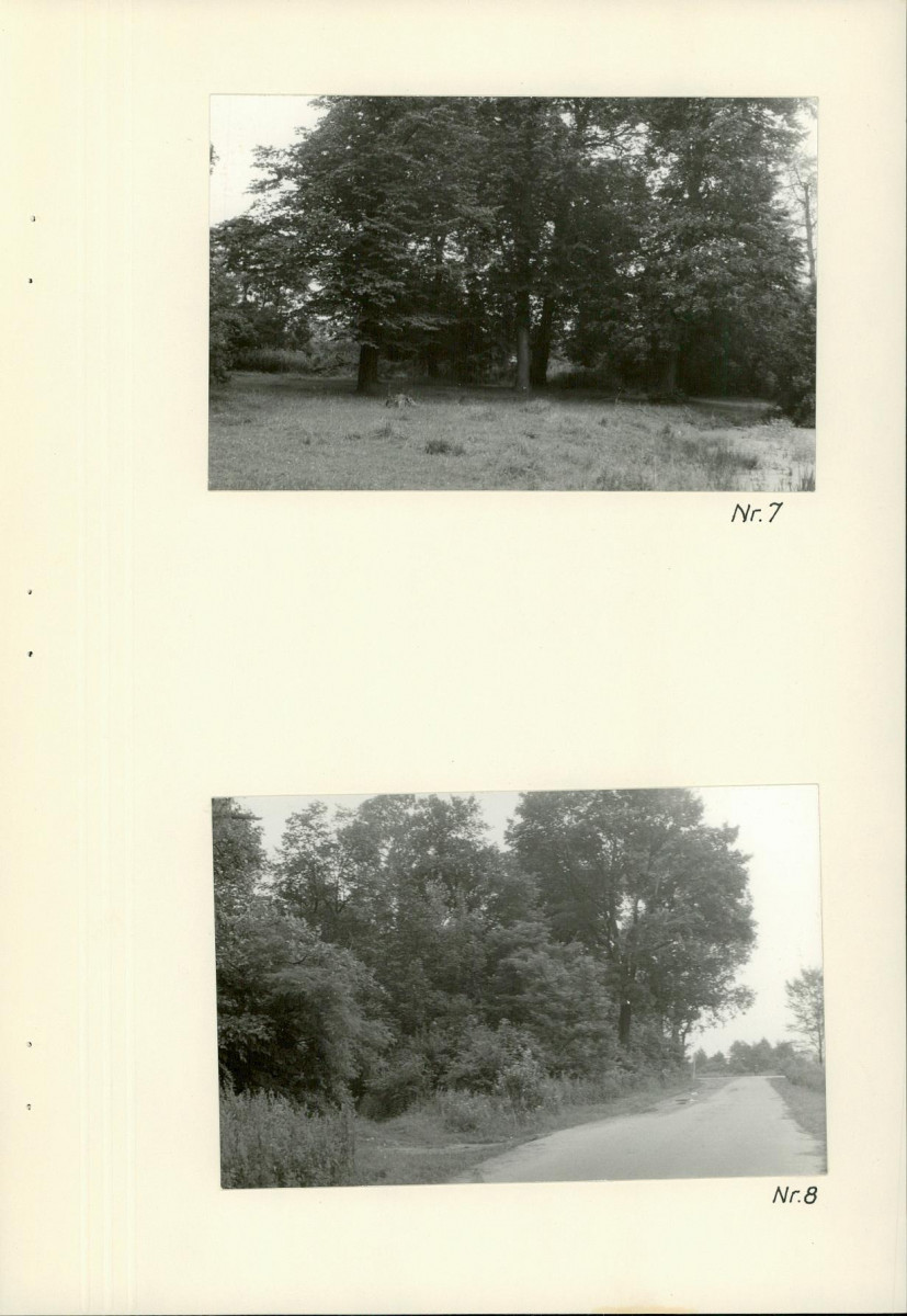 Ewidencja parkowa, skan nr 23