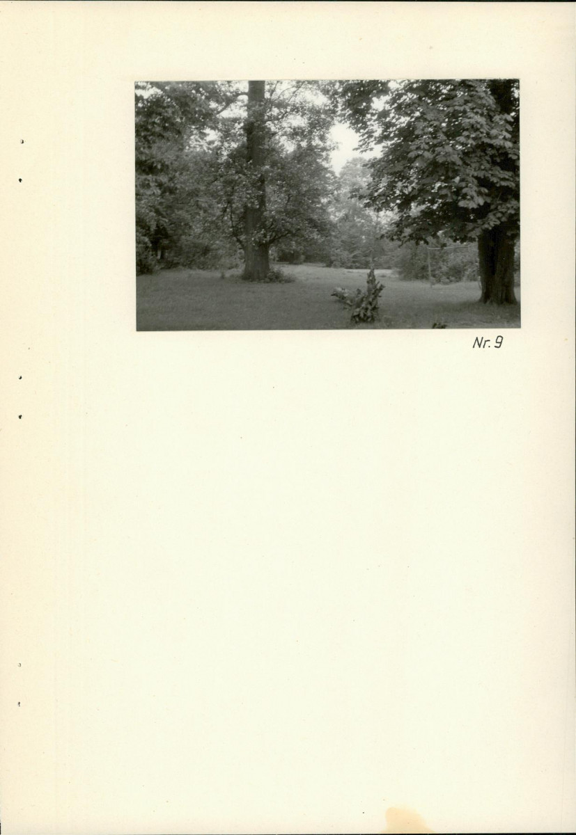 Ewidencja parkowa, skan nr 24