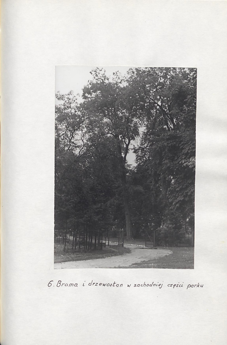 Ewidencja parkowa, skan nr 24