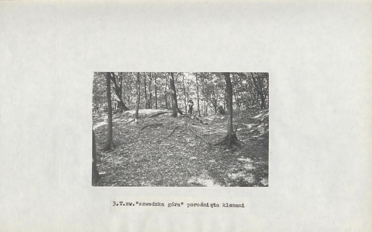 Ewidencja parkowa, skan nr 22