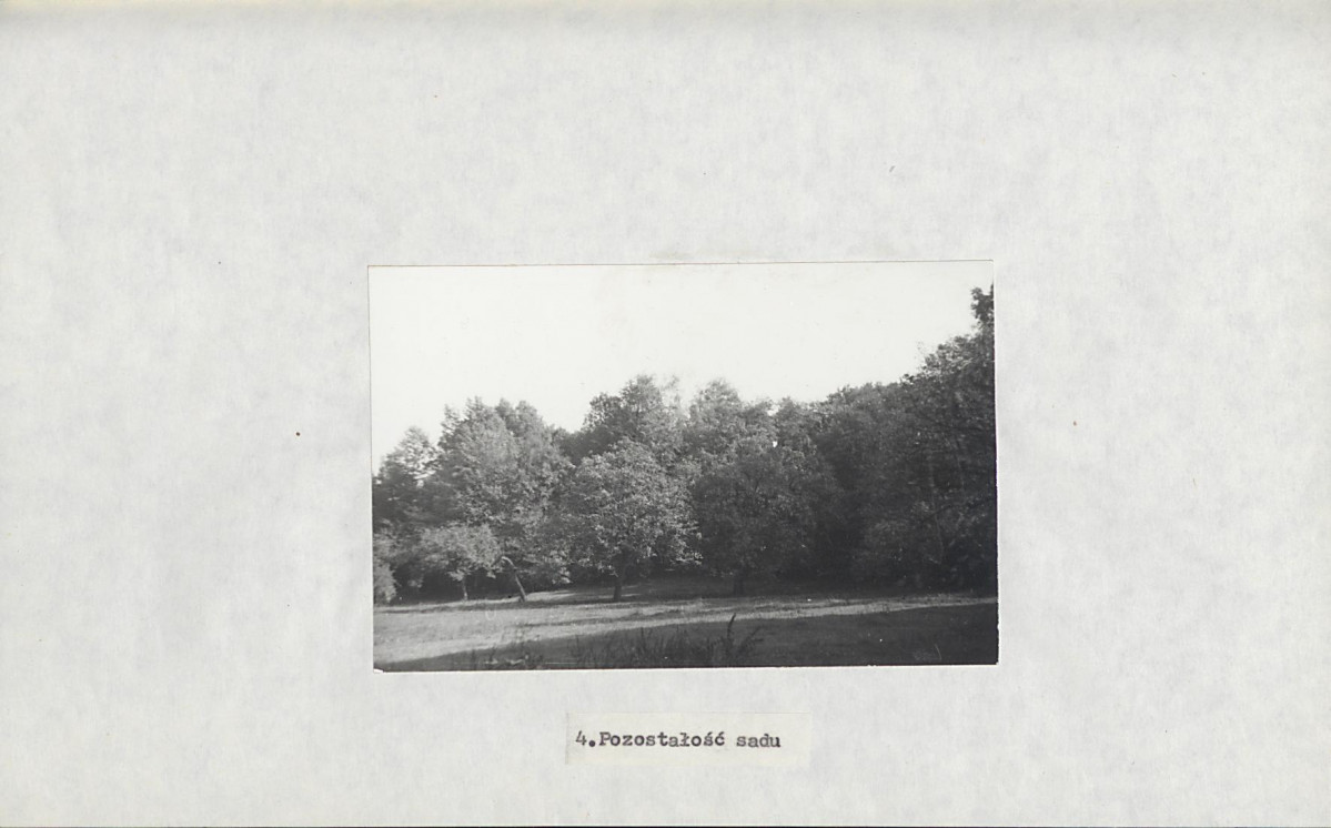 Ewidencja parkowa, skan nr 23