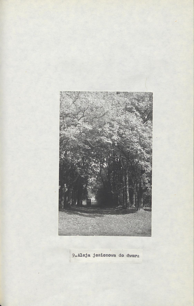 Ewidencja parkowa, skan nr 28