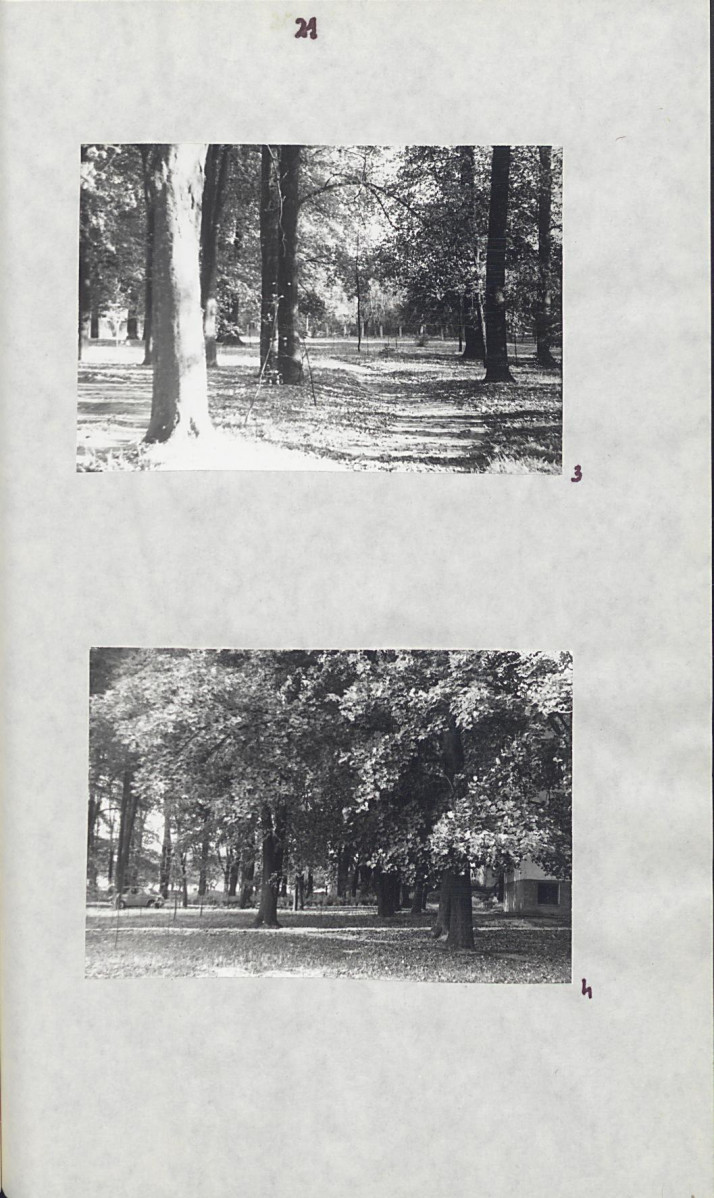 EP - Ewidencja parkowa, skan nr 27