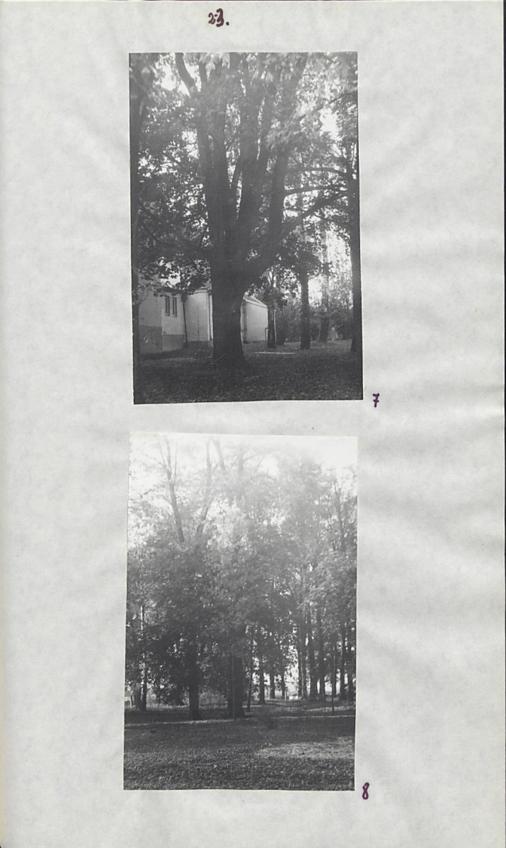 EP - Ewidencja parkowa, skan nr 29