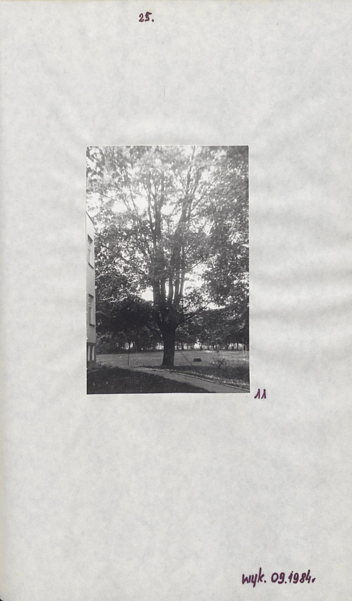 EP - Ewidencja parkowa, skan nr 31