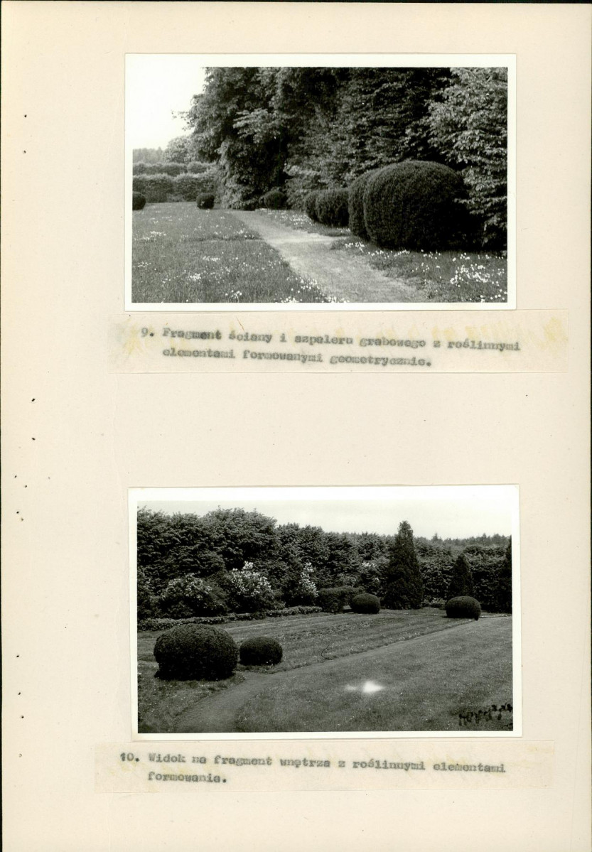 EP - Ewidencja parkowa, skan nr 38