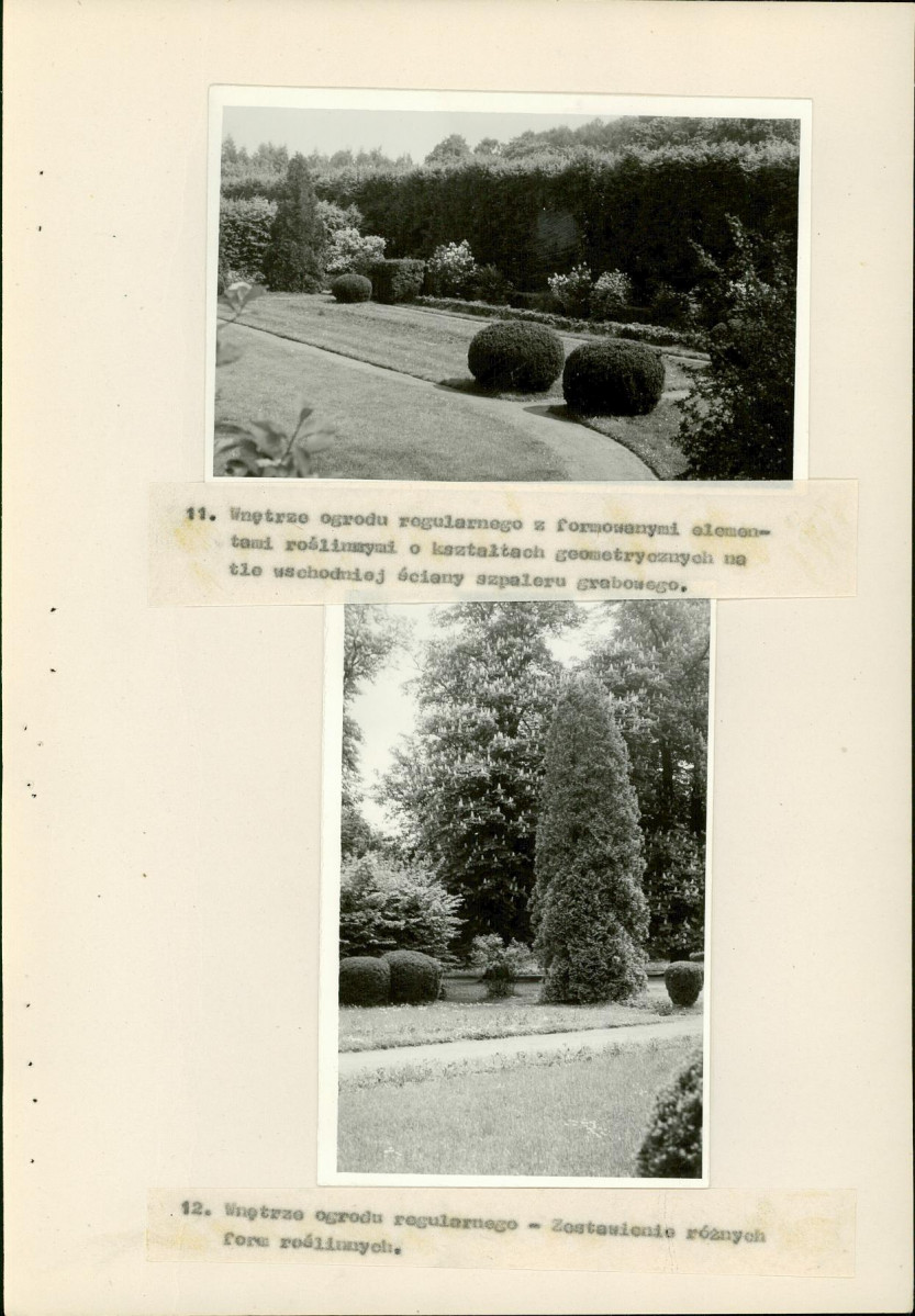 EP - Ewidencja parkowa, skan nr 39