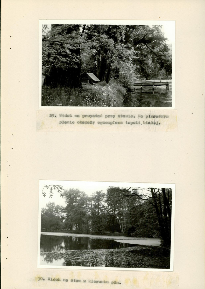 EP - Ewidencja parkowa, skan nr 48