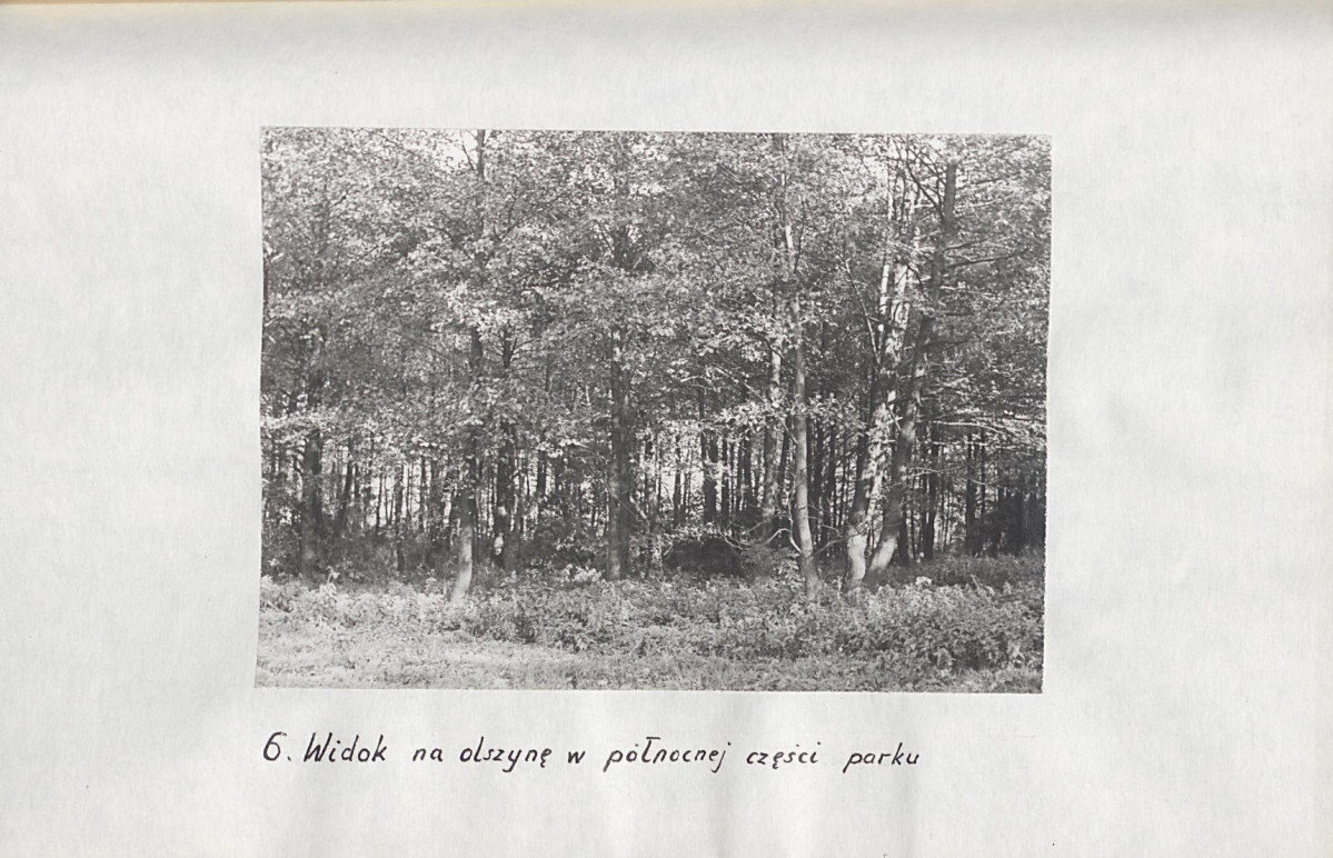 EP - Ewidencja parkowa, skan nr 26