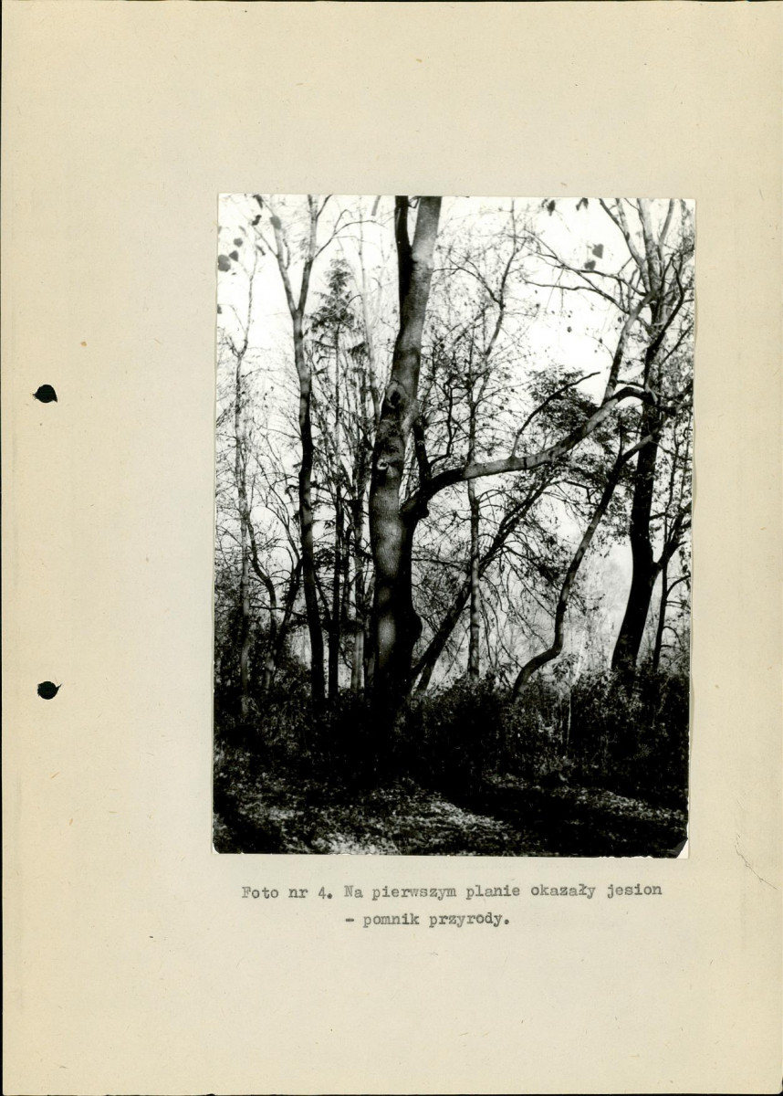 Ewidencja parkowa, skan nr 32