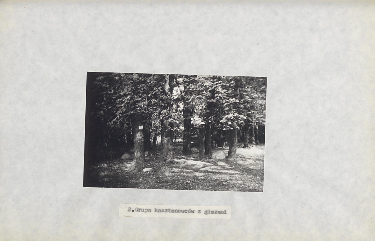 Ewidencja parkowa, skan nr 29