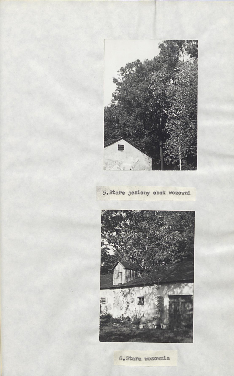 EP - Ewidencja parkowa, skan nr 21