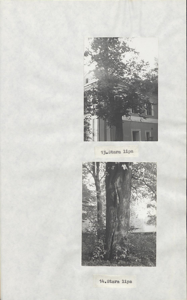 EP - Ewidencja parkowa, skan nr 25