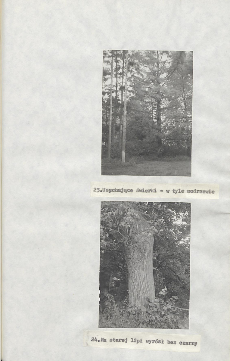 EP - Ewidencja parkowa, skan nr 30