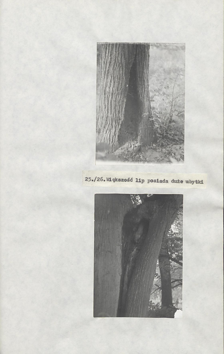 EP - Ewidencja parkowa, skan nr 31