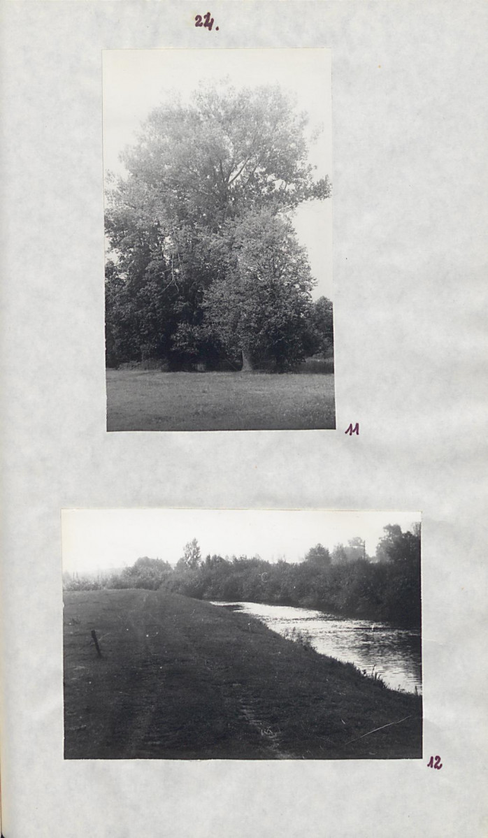 EP - Ewidencja parkowa, skan nr 31