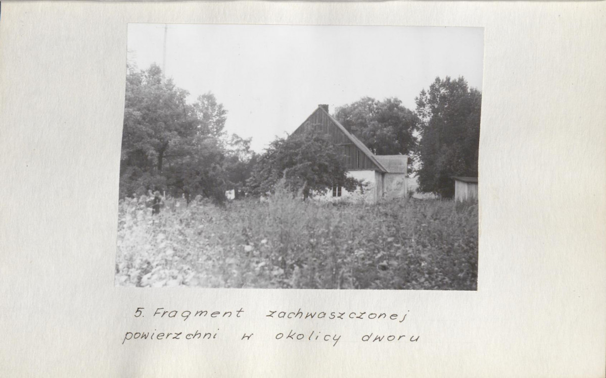 Ewidencja parkowa, skan nr 25