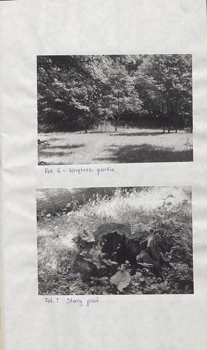 EP - Ewidencja parkowa, skan nr 25