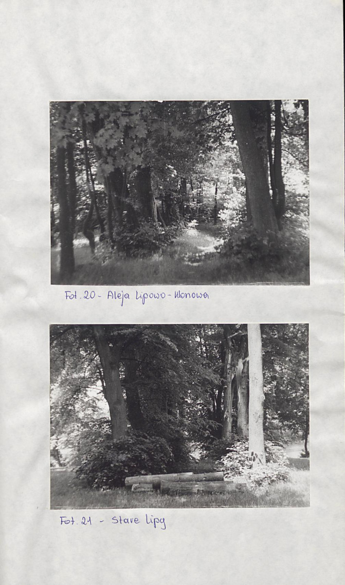 EP - Ewidencja parkowa, skan nr 32